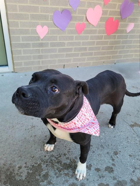 ECHO — thumbnail 2