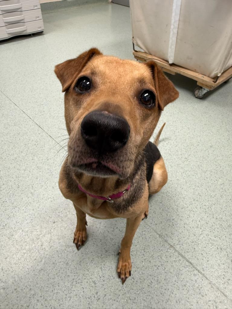 Lucy — thumbnail 5