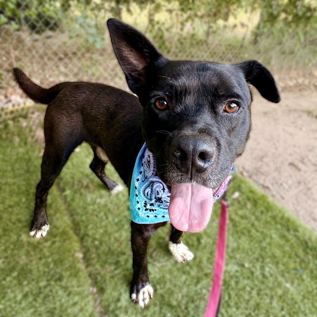 Alok — thumbnail 4