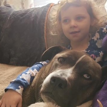 Enlarge Huxley, a ADOPTABLE mixed breed in Yukon, OK image 2/5