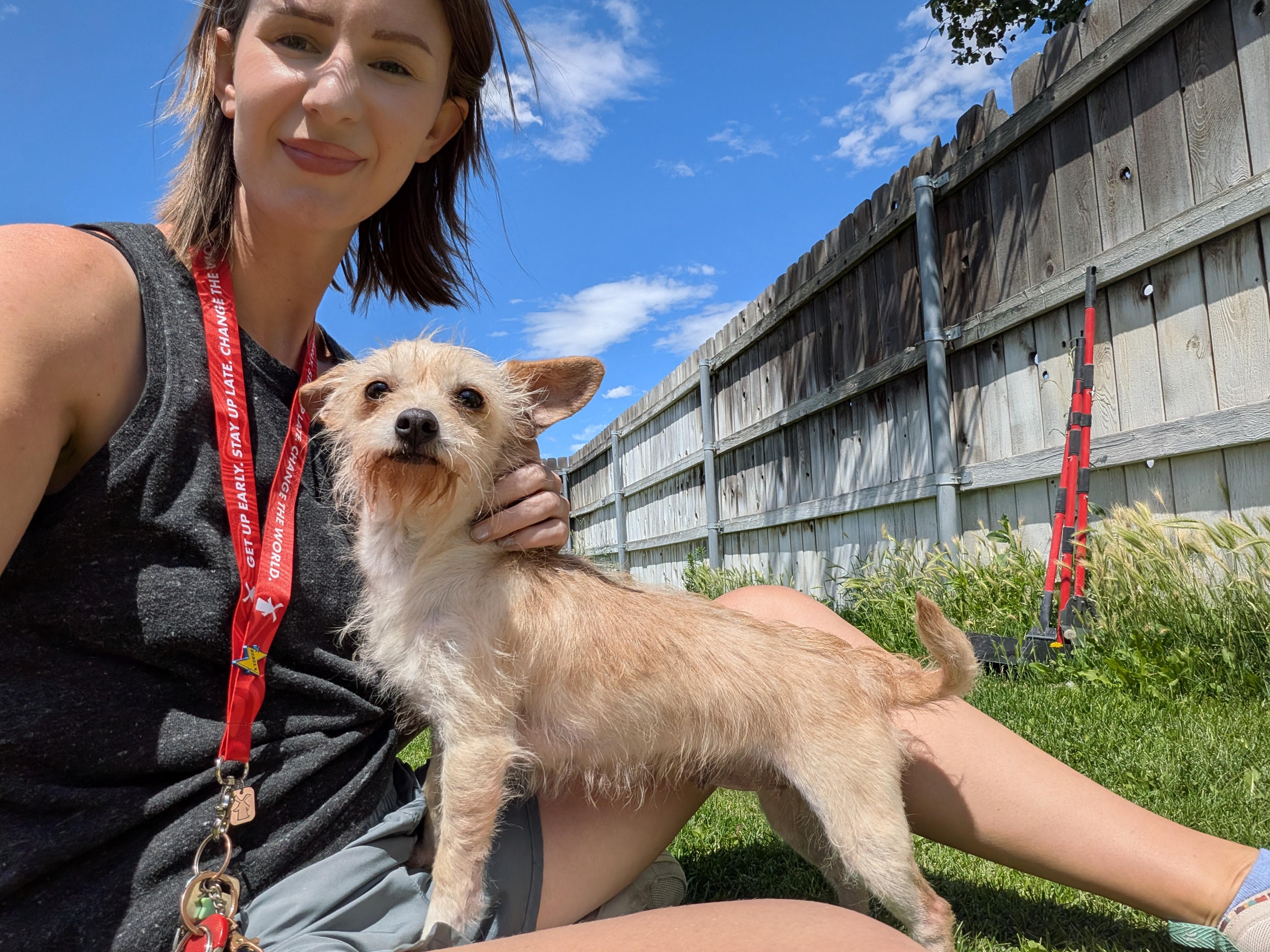 Jill, a ADOPTABLE mixed breed in Hermiston, OR image 2/4