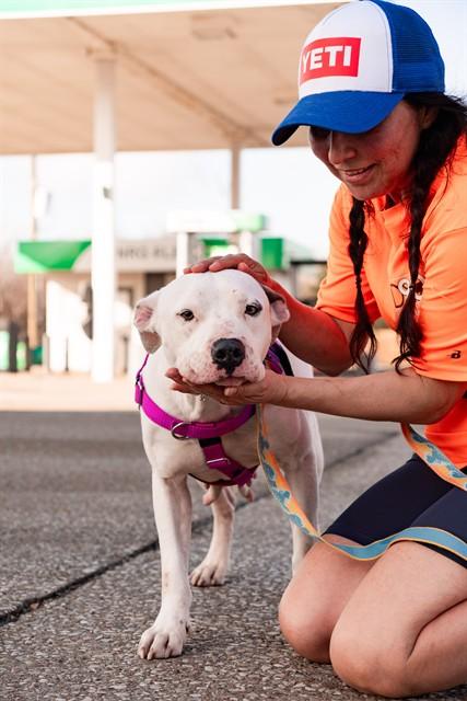 CRYSTAL — thumbnail 2