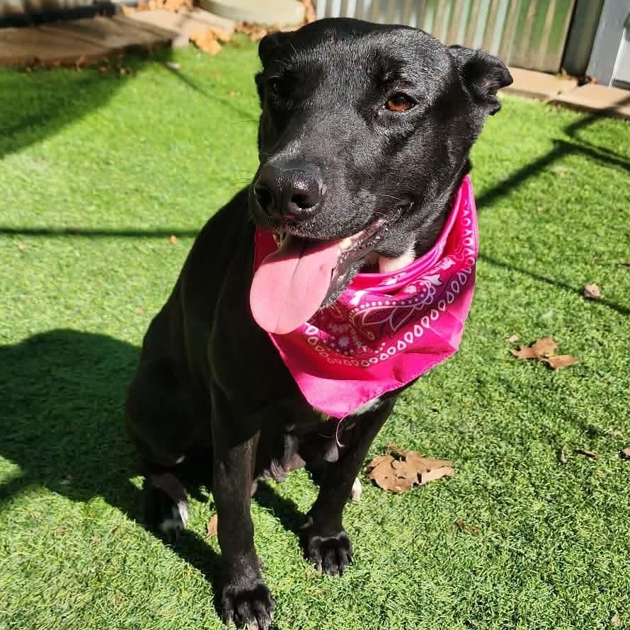 Brazil — thumbnail 3