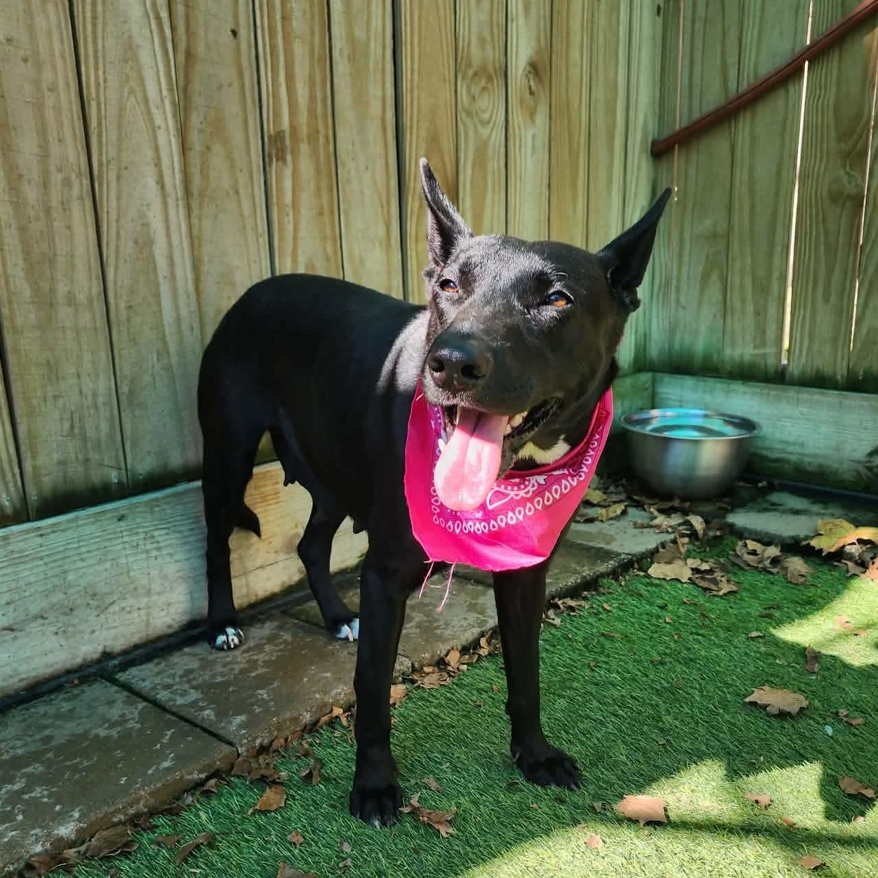 Brazil — thumbnail 4