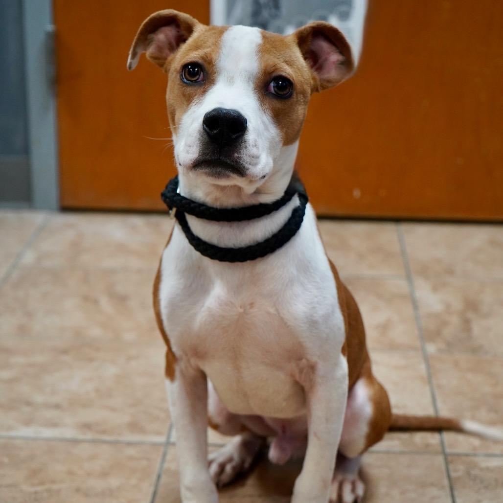 Sourdough — thumbnail 3