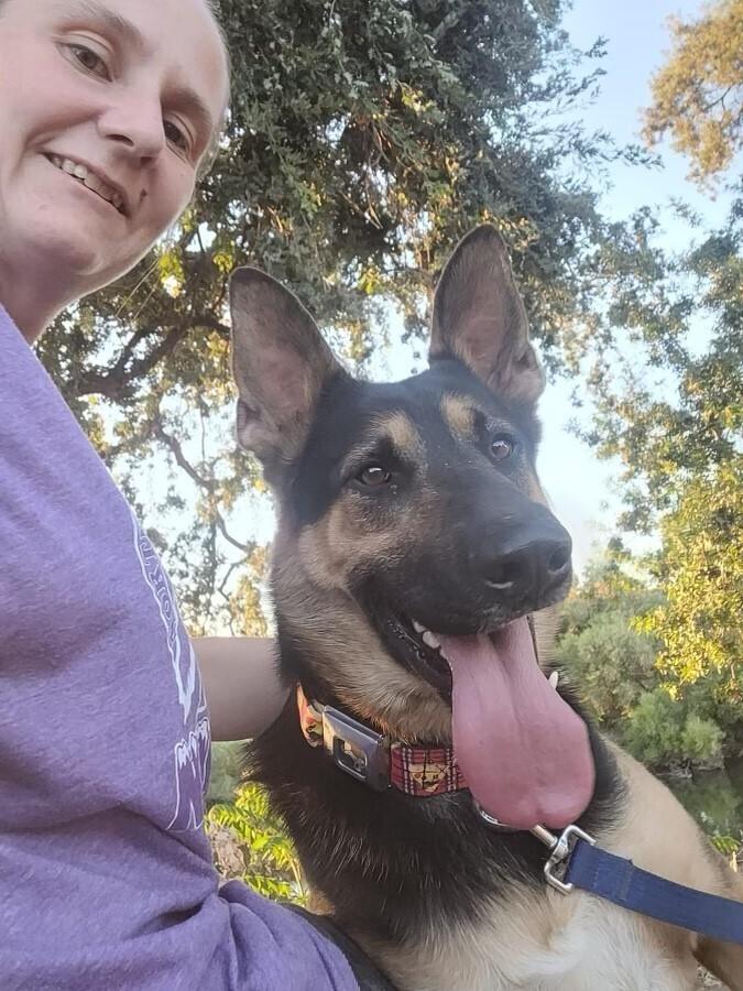 Felix, a Adoptable mixed breed in Pleasant Hill, CA image 2/6