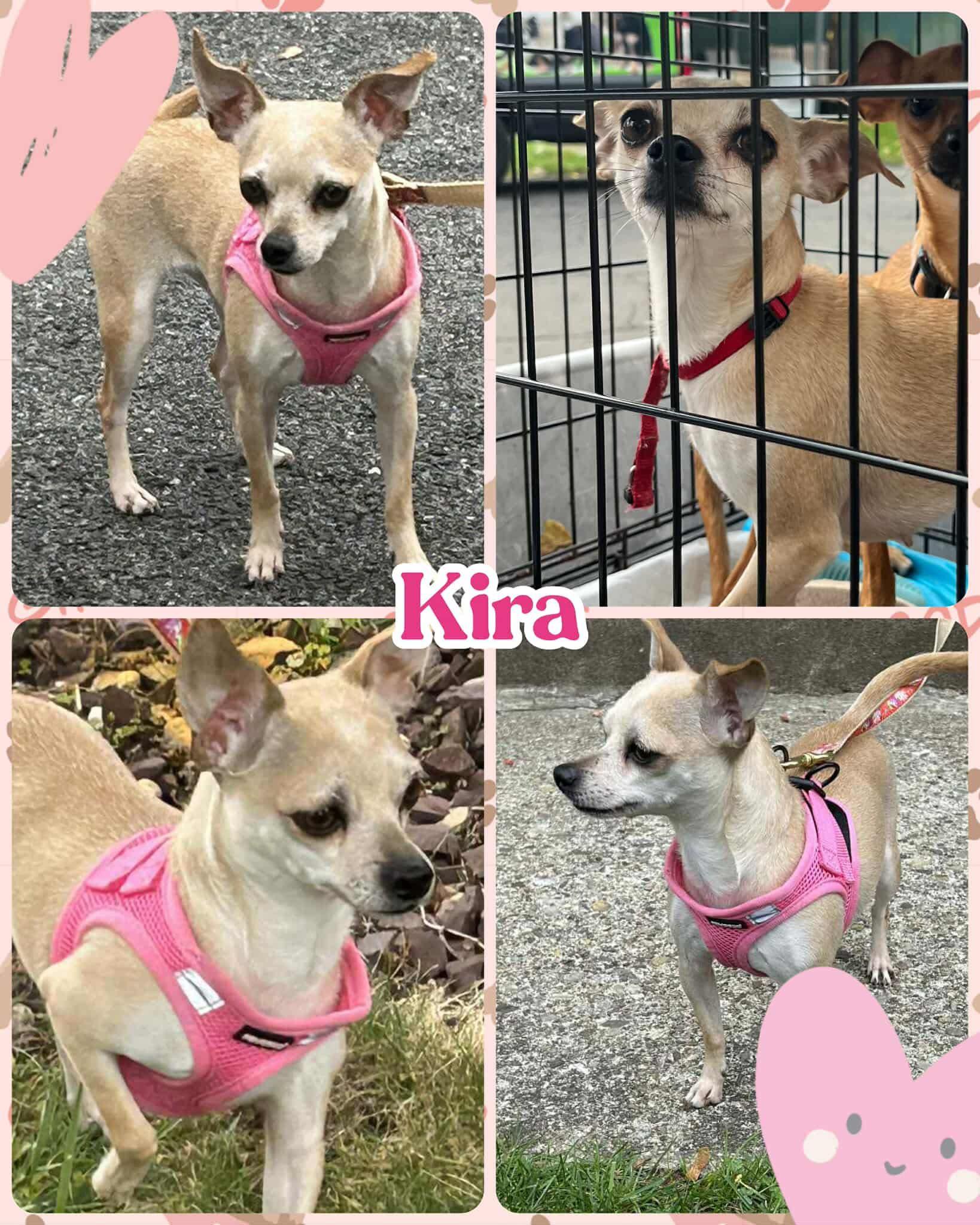 Kira