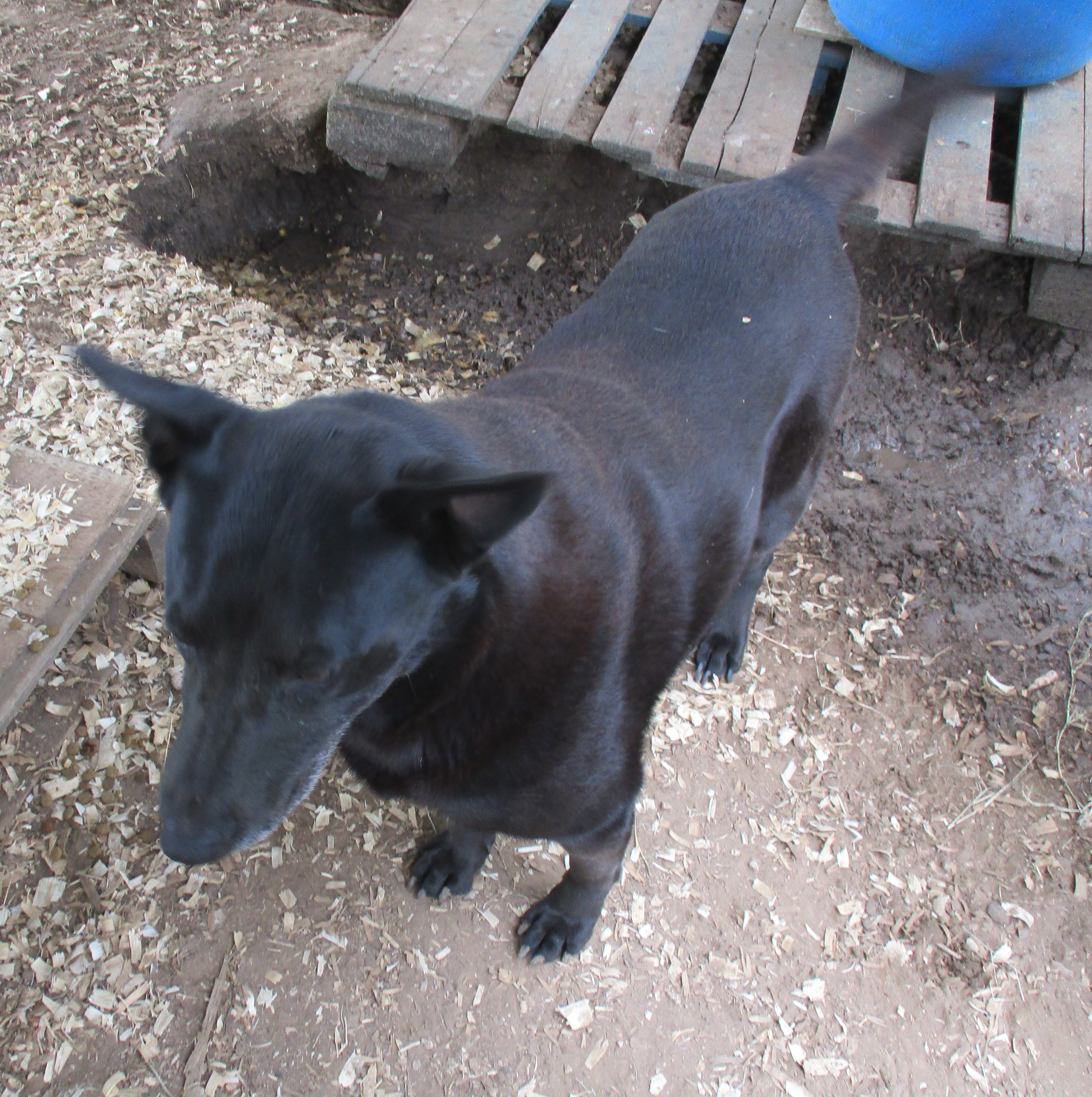 Princess photo 2