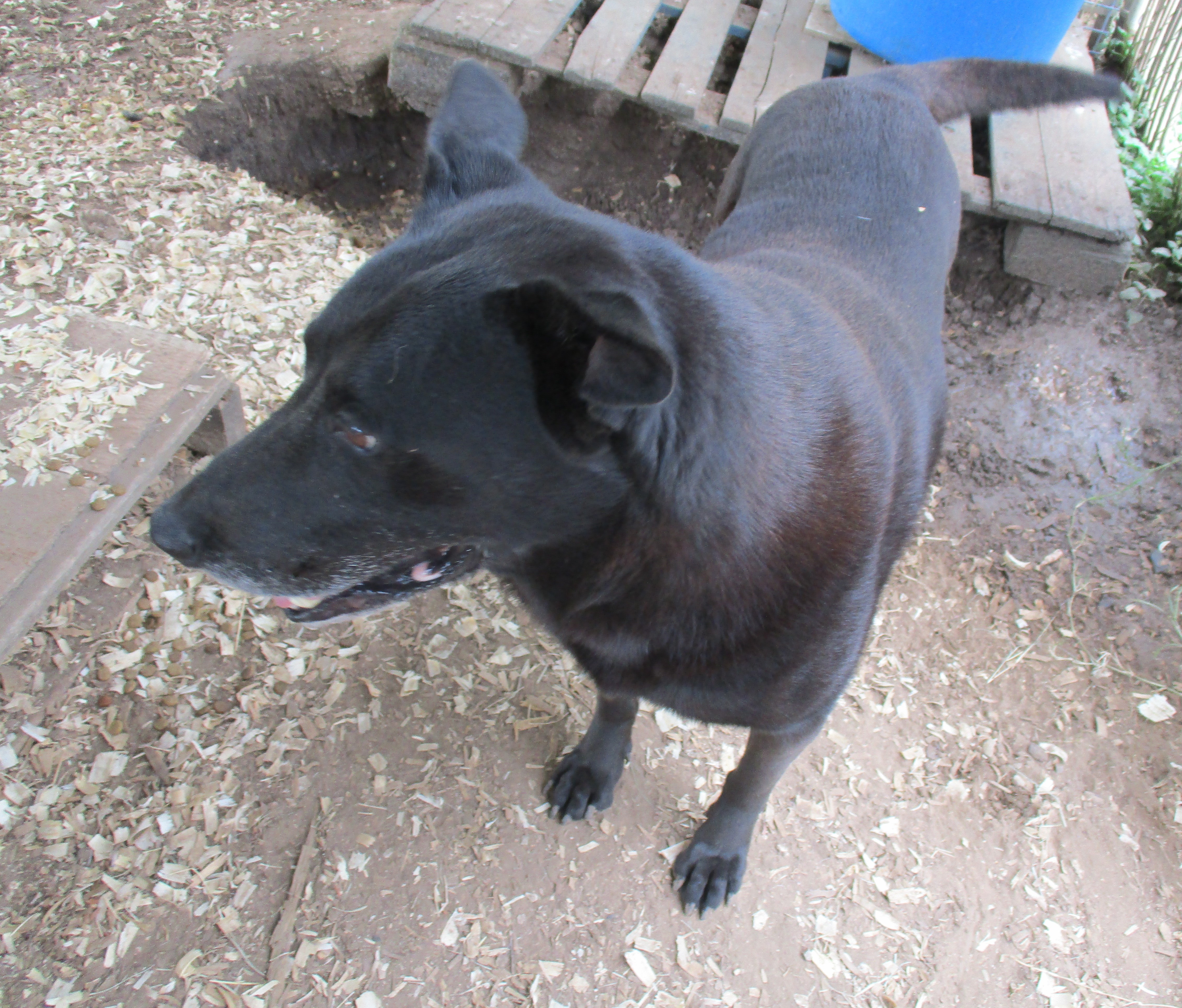 Princess photo 4