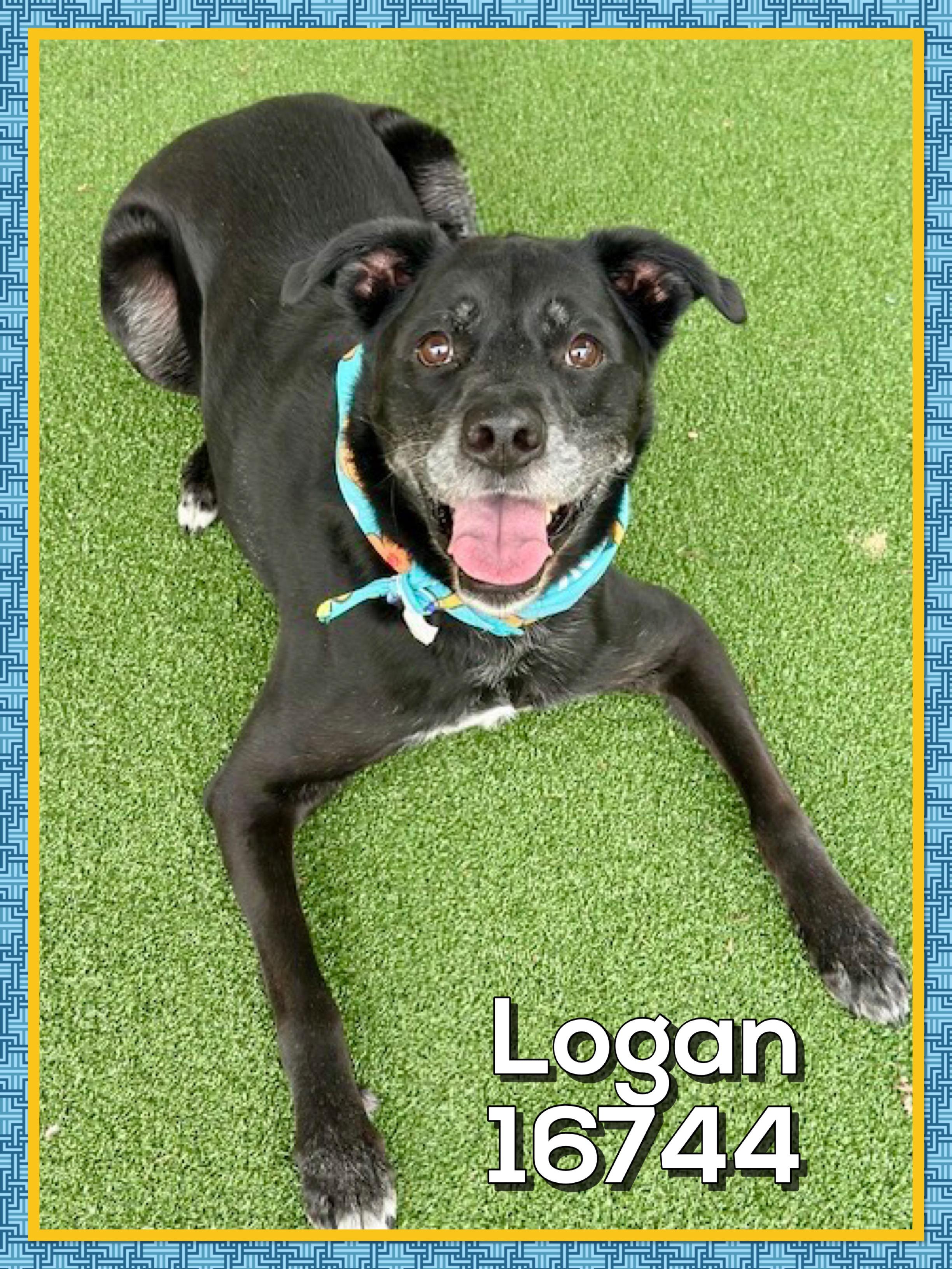 LOGAN — thumbnail 5