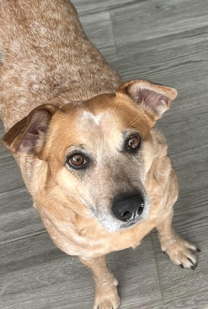 Sadie photo 2