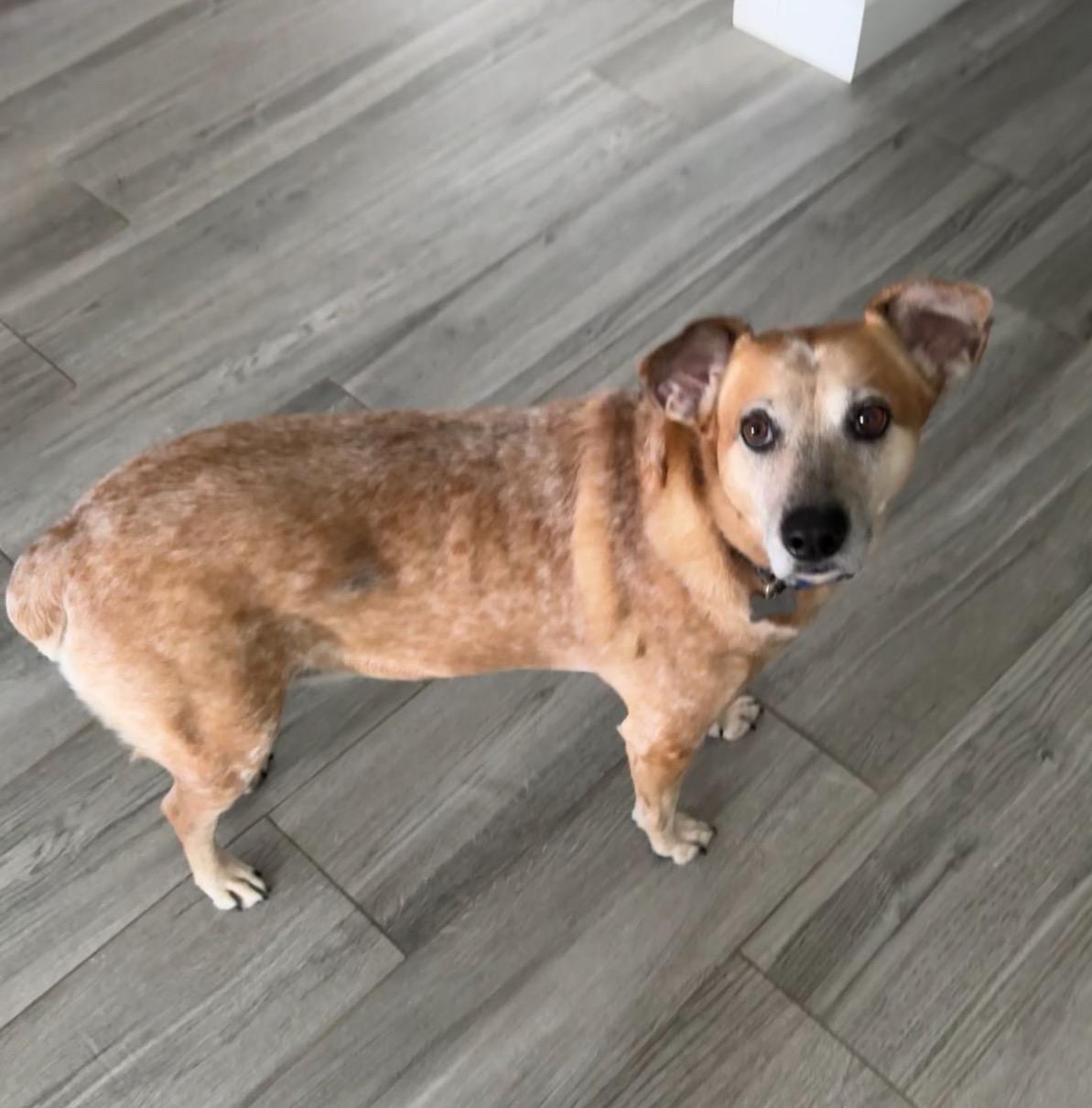 Sadie 3
