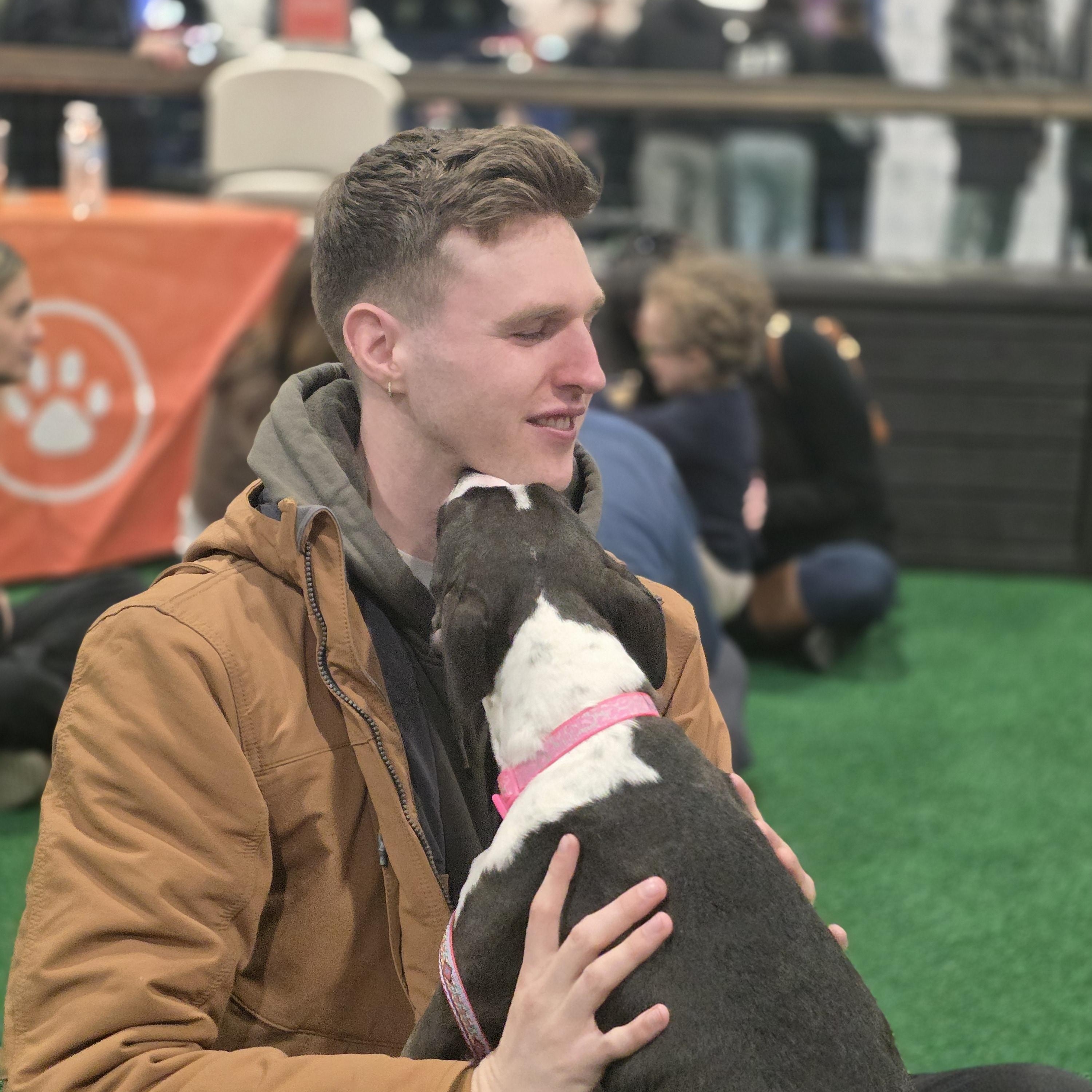 Enlarge Bentley, a Adoptable mixed breed in Blue Bell, PA image 5/5