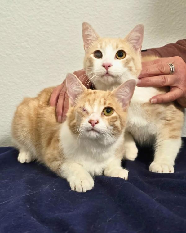 Mars — thumbnail 2