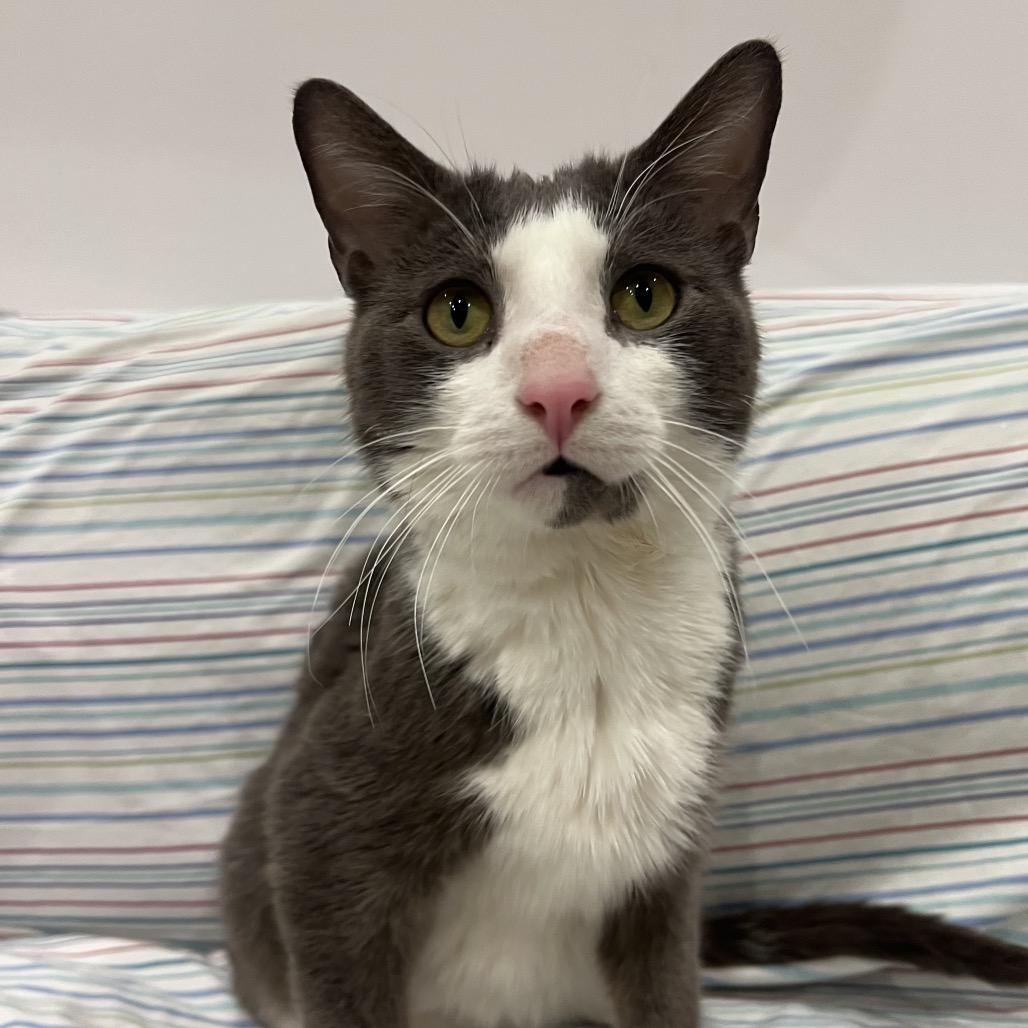 Aspen — thumbnail 3