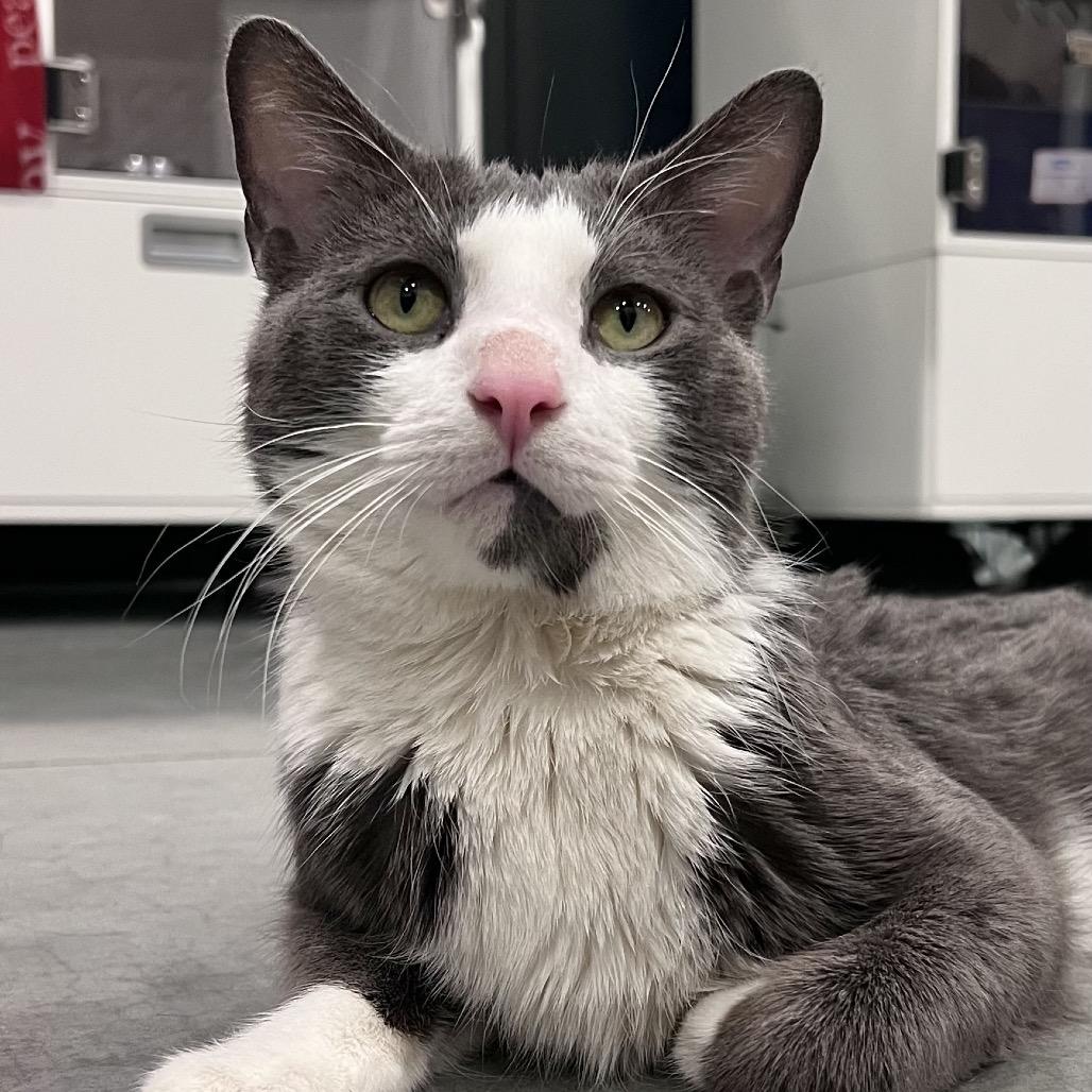 Aspen — thumbnail 4