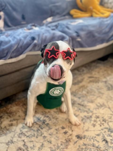 Molly Rosebud