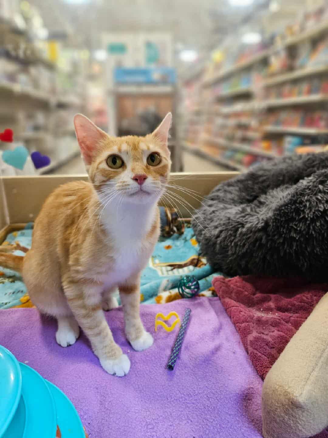 Chloe