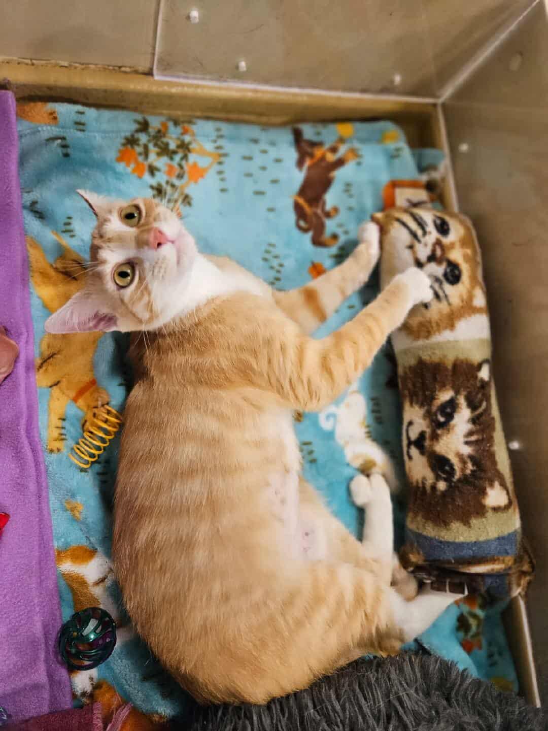Chloe