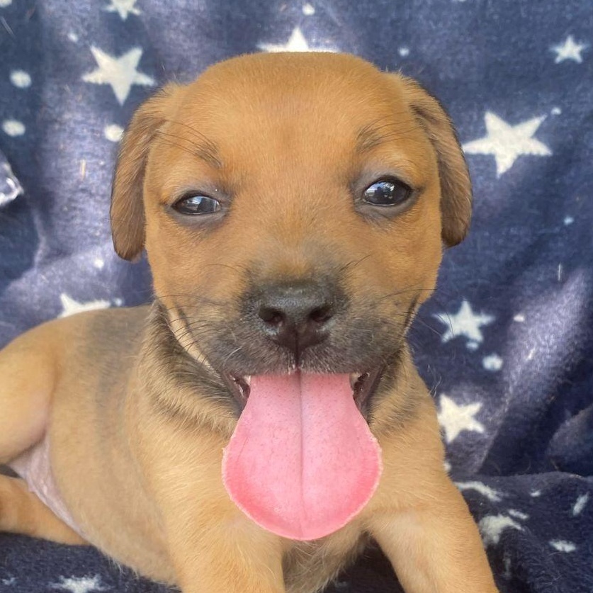 Atena Grace "supreme Love." thumbnail 2