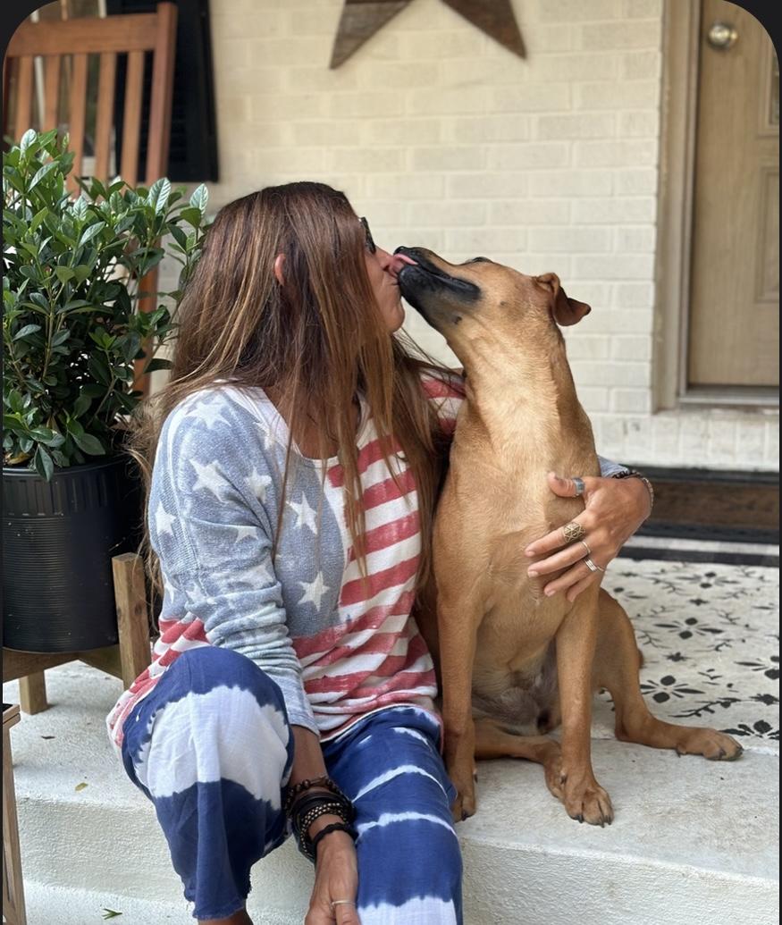 Enlarge ROSIE POSIE THE SWEETIE PIE!!!, a Adoptable mixed breed in Cantonment, FL image 2/5