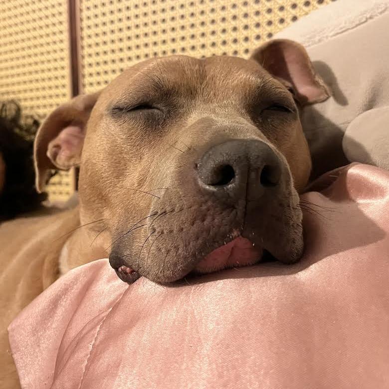 Nora — thumbnail 2