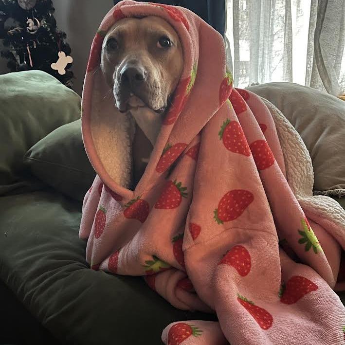 Nora — thumbnail 5