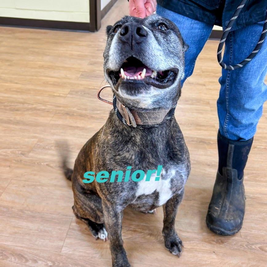 Pepper — thumbnail 2