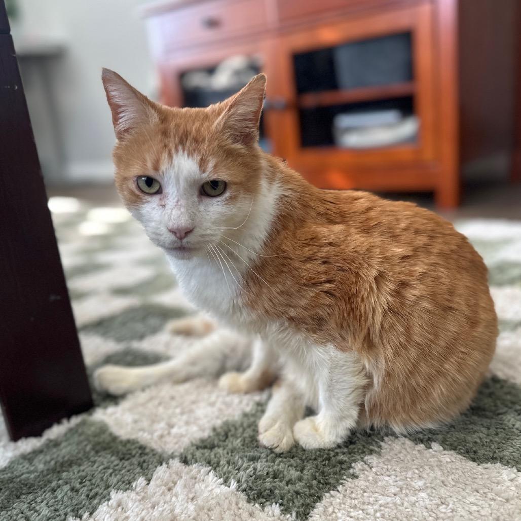 Bunny — thumbnail 6