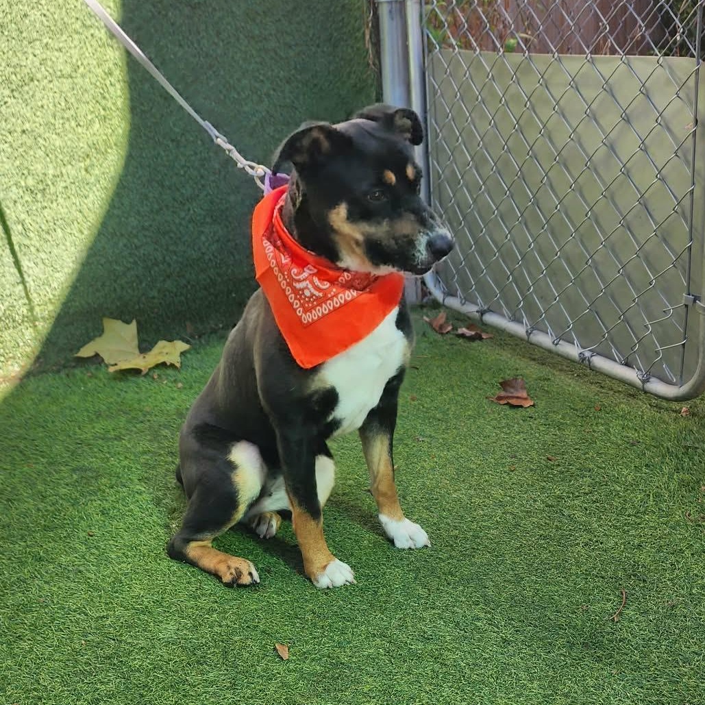 Caroline — thumbnail 4