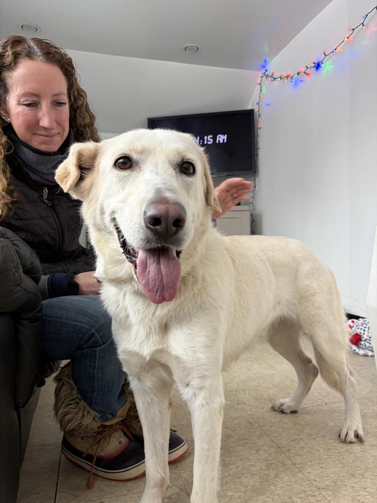 AC - Cantaloupe — thumbnail 2