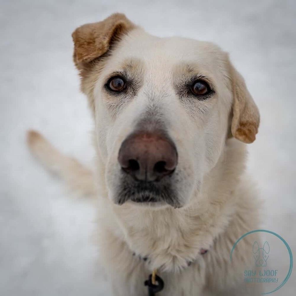 AC - Cantaloupe — thumbnail 3