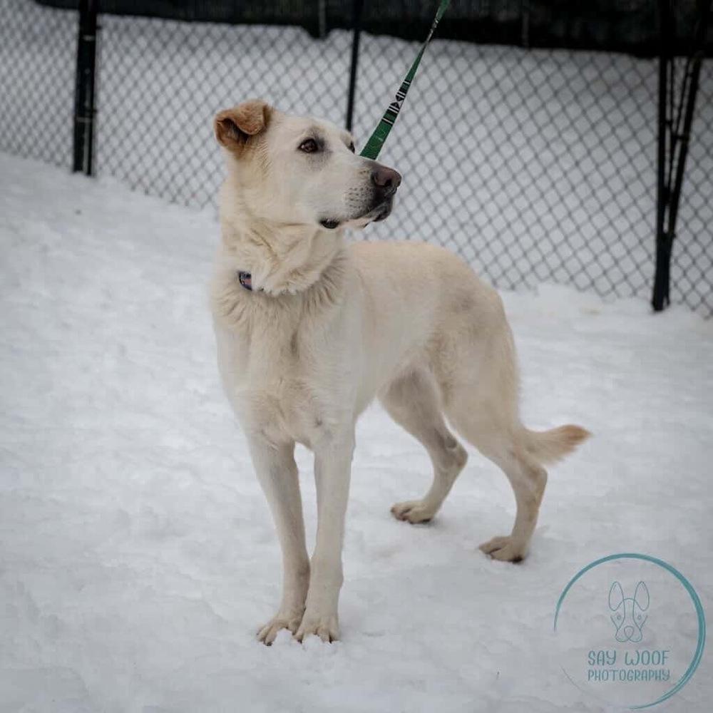 AC - Cantaloupe — thumbnail 4