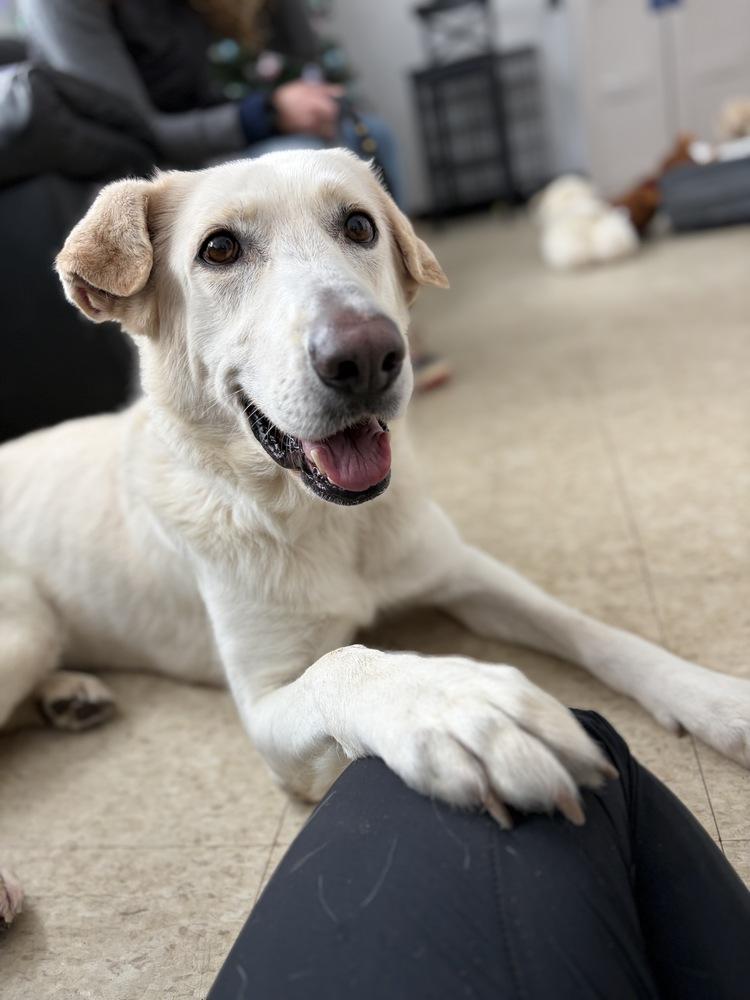 AC - Cantaloupe — thumbnail 5