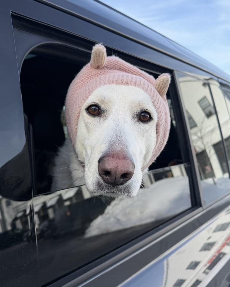 AC - Cantaloupe — thumbnail 6