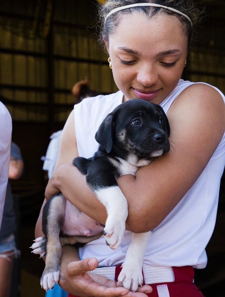 Enlarge Bruce, a Adoptable mixed breed in Fayetteville, AR image 2/2