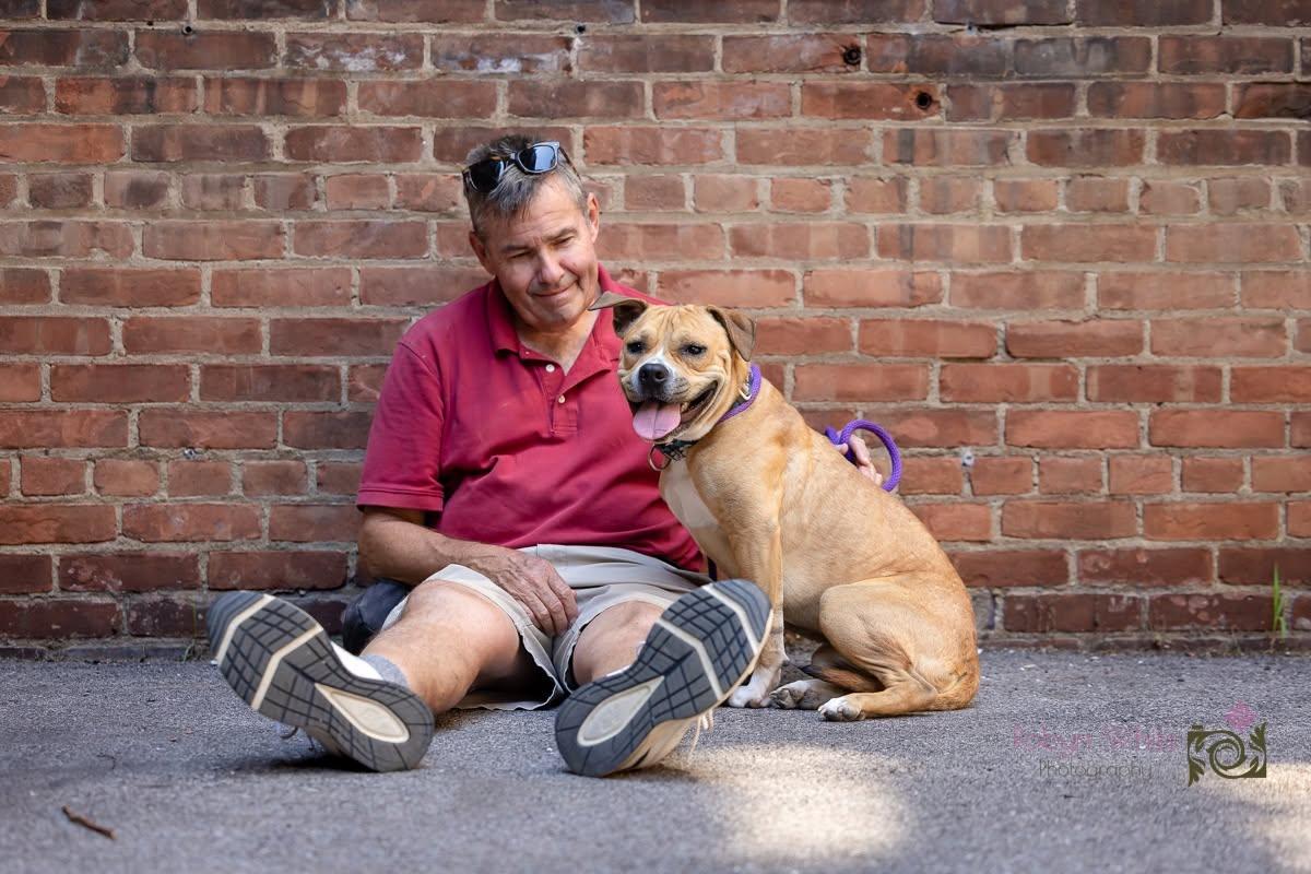 Blossom, ADOPTABLE, Young Female Pit Bull Terrier.