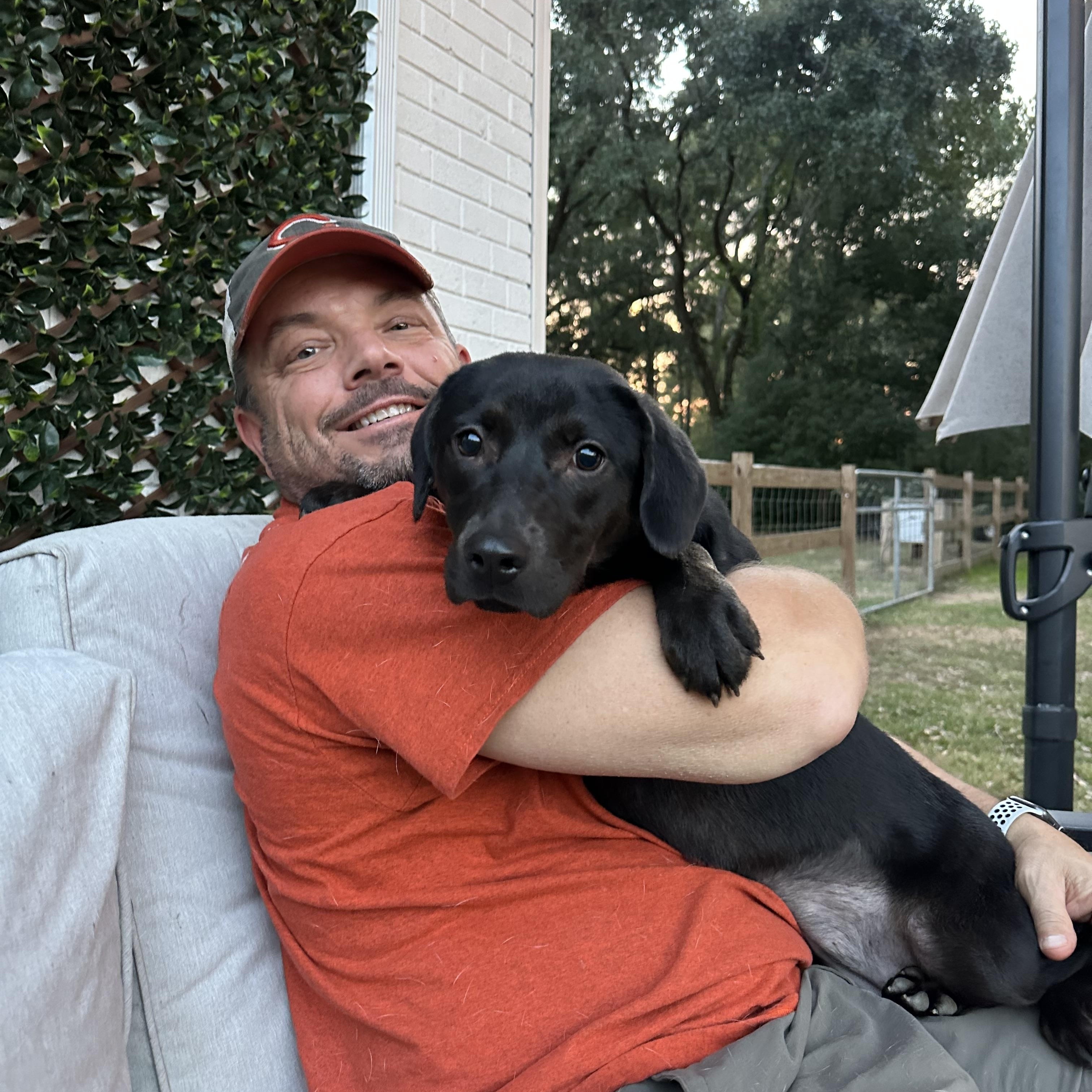 I AM CINDER. I AM PERFECT. ❤️, Adoptable, Young Female Black Labrador Retriever.