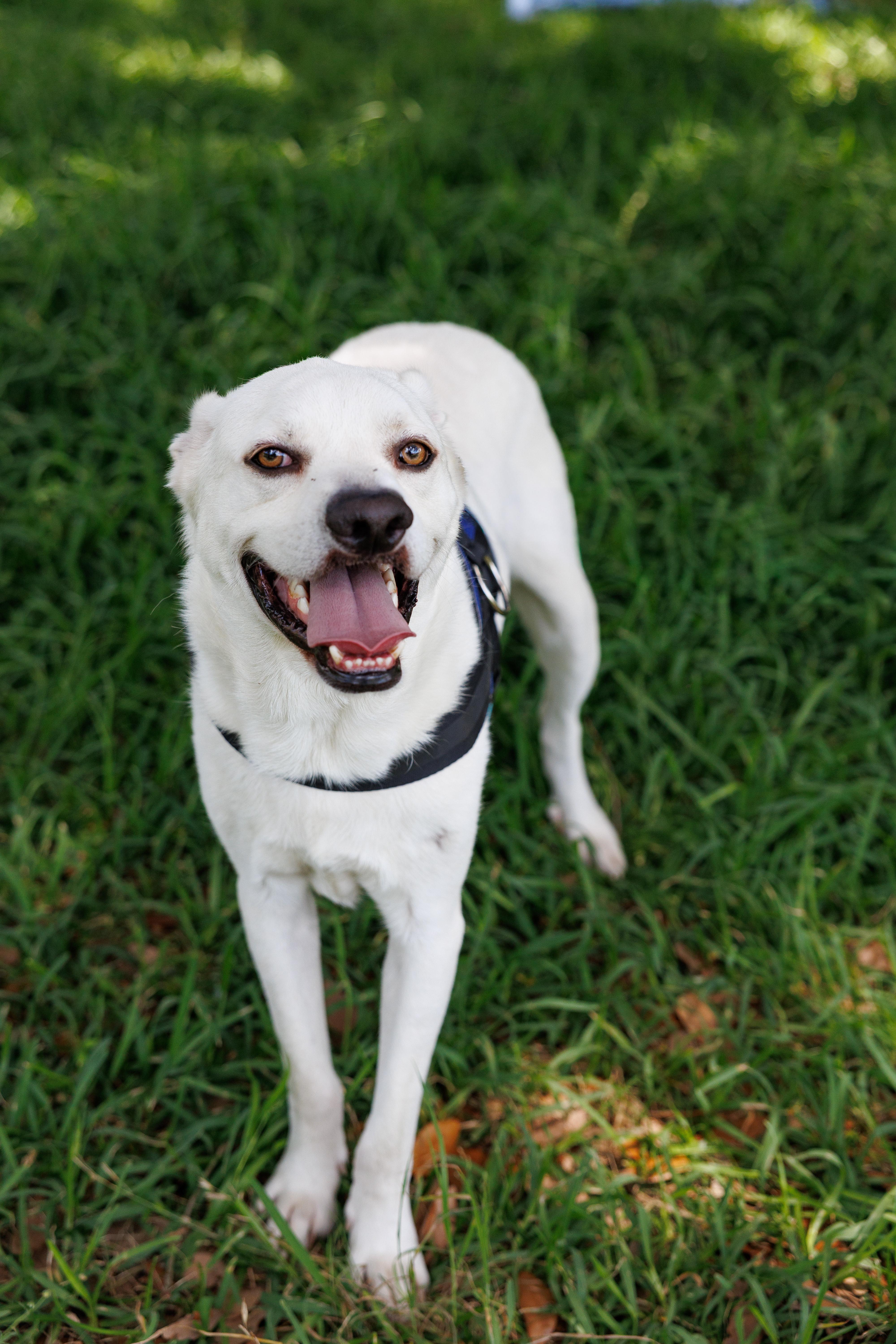 Eric Northman photo