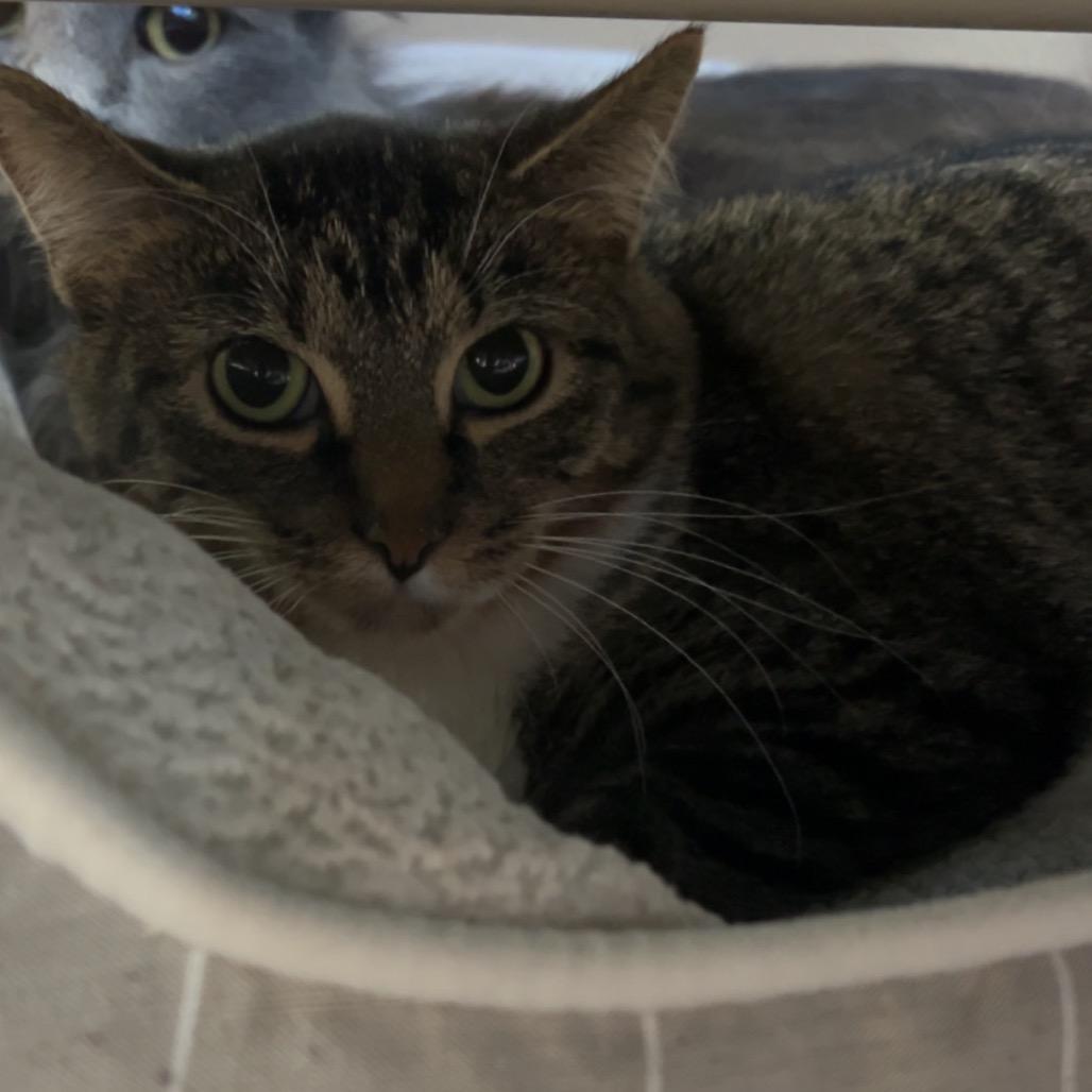 Khloe — thumbnail 2