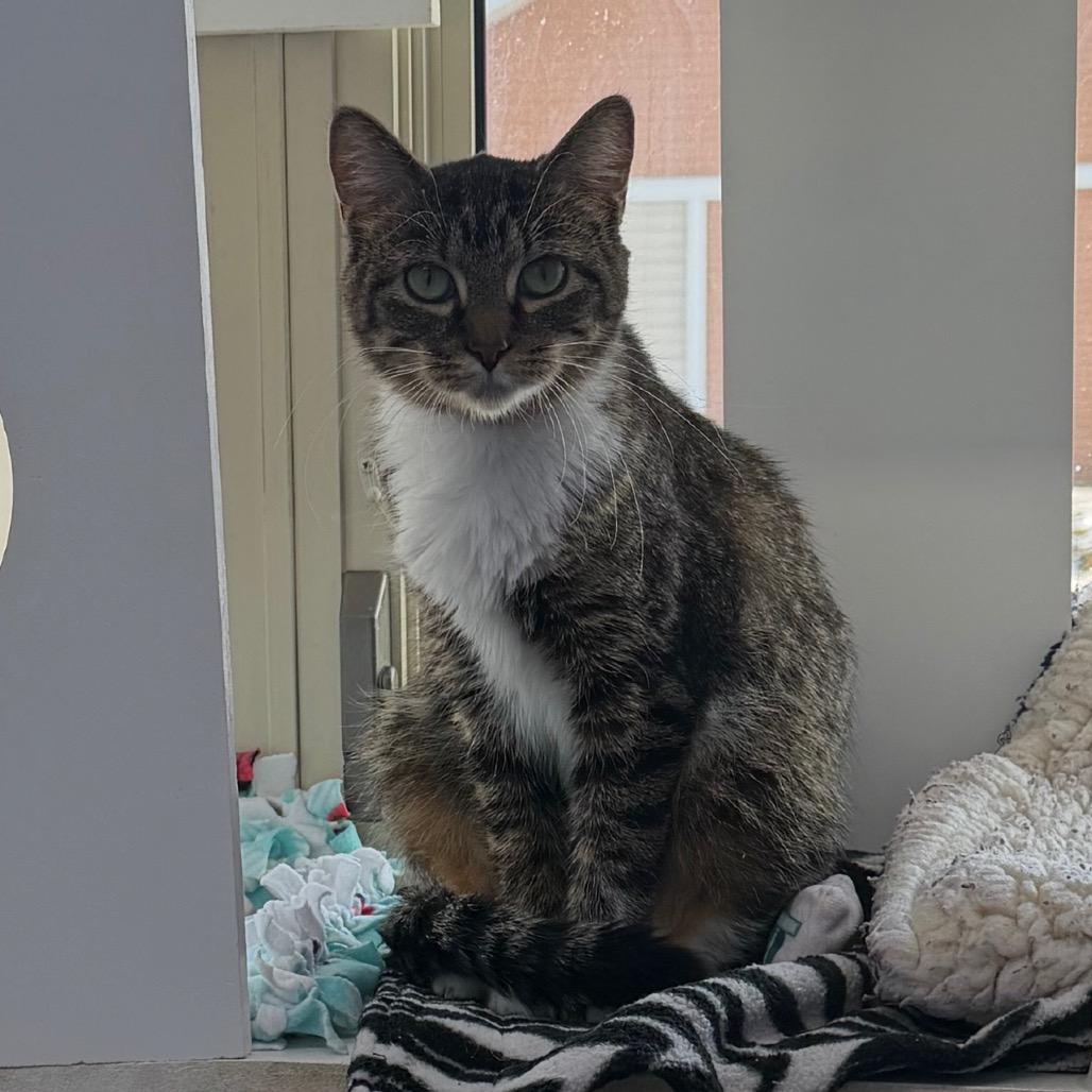 Khloe — thumbnail 3