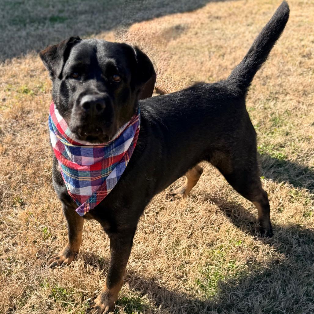 Andrew — thumbnail 5