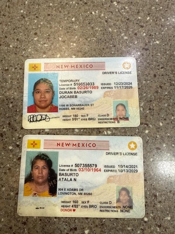 Clara, a Adoptable Husky in Hobbs, NM image 3/3