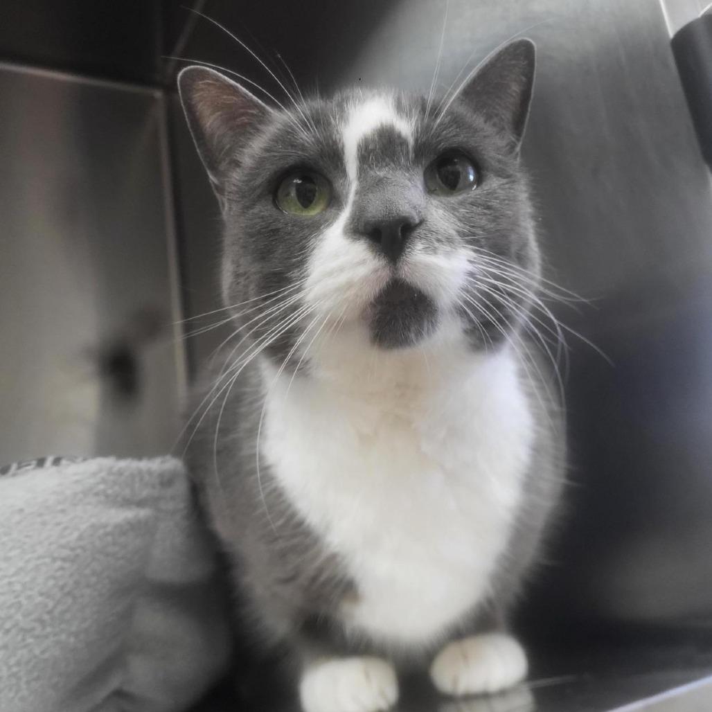 Tasha — thumbnail 2