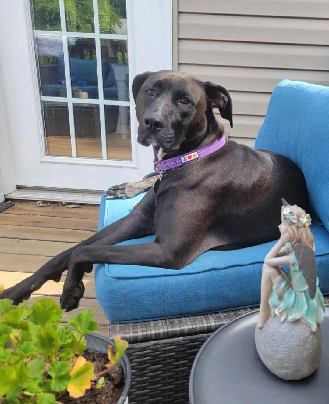 Stormy — thumbnail 5