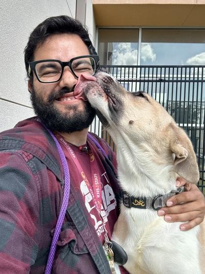 Ziggy, Adoptable, Adult Male Mixed Breed & Mixed Breed.