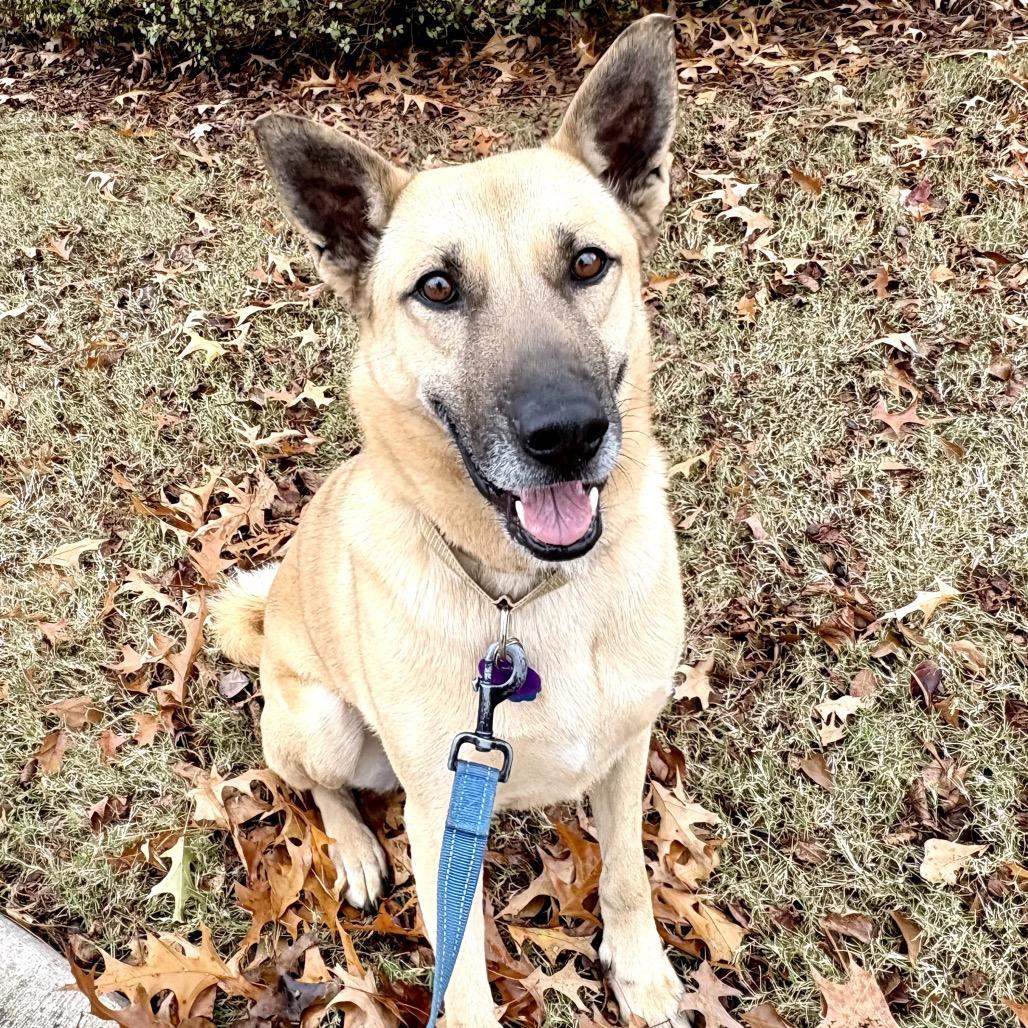 Twirl 22361 — thumbnail 2