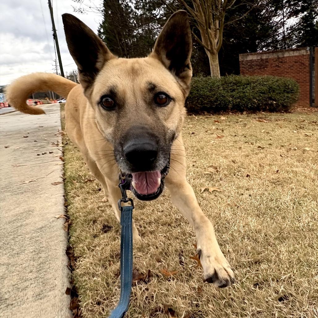 Twirl 22361 — thumbnail 3