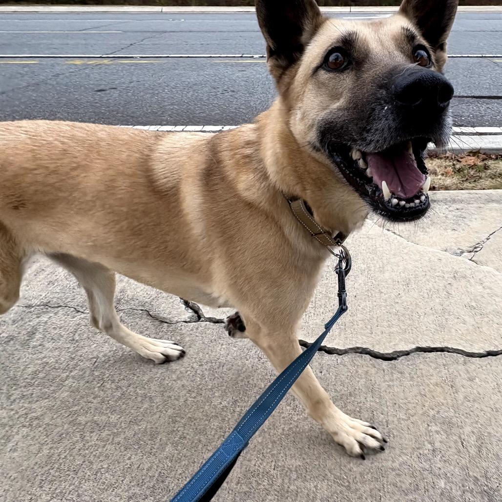 Twirl 22361 — thumbnail 4