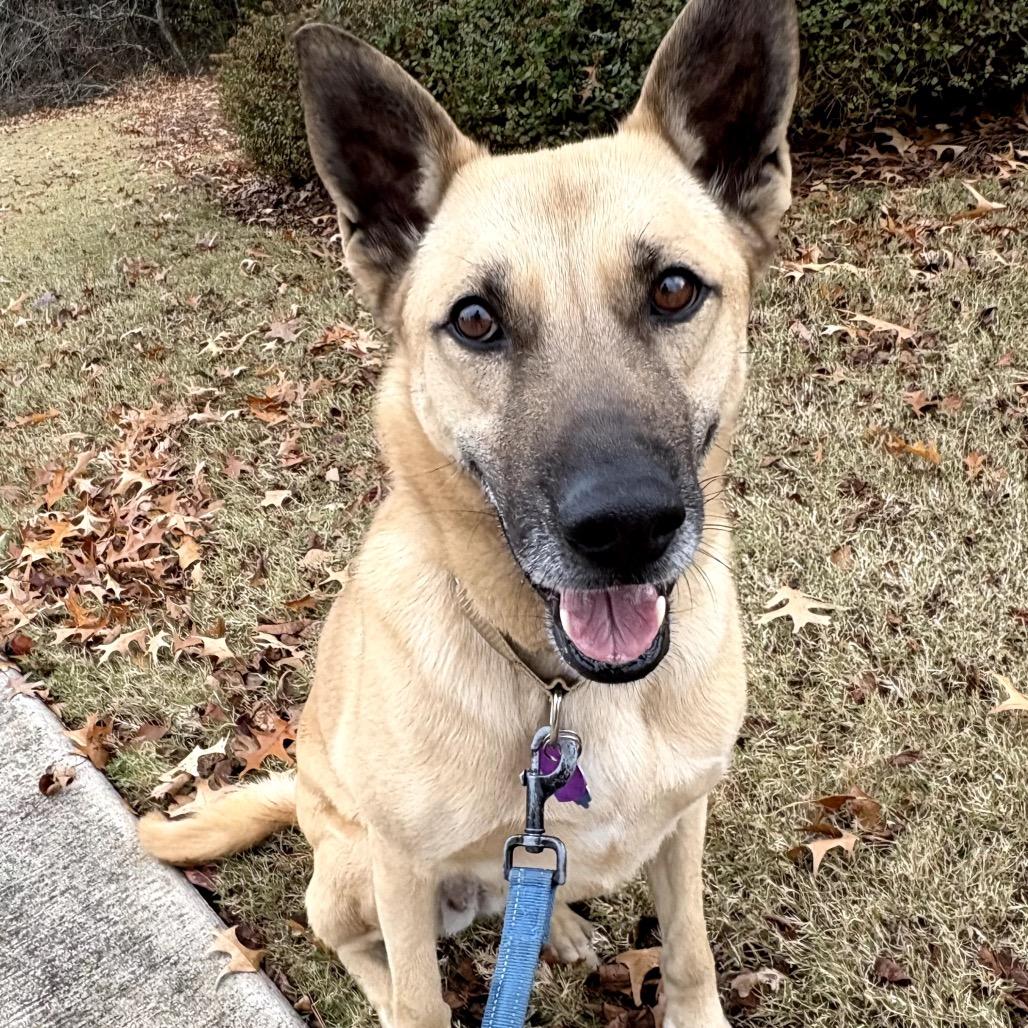 Twirl 22361 — thumbnail 5